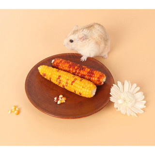 Bắp ngô non mài răng cho Hamster,thỏ,bọ,sóc,. (10-15cm 1 bắp)