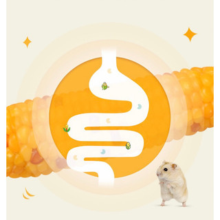 Bắp ngô non mài răng cho Hamster,thỏ,bọ,sóc,. (10-15cm 1 bắp)