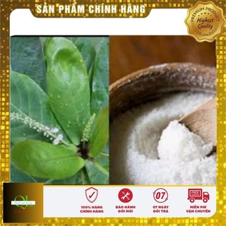 20 Lá bàng tươi