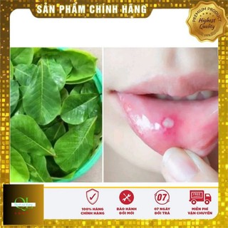20 Lá bàng tươi (có đơn mới hái)