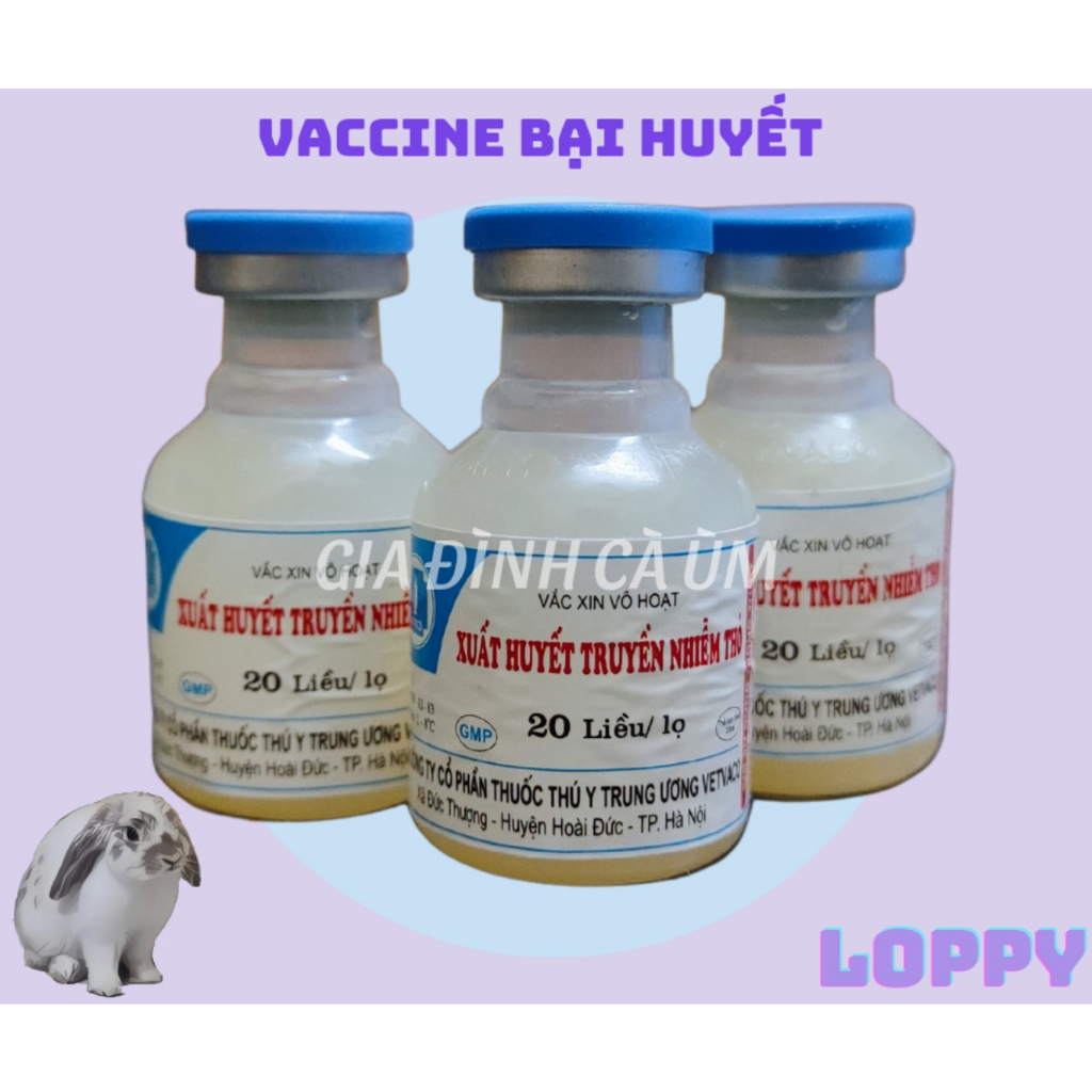 Bại huyết/ Xuất huyết truyền nhiễm thỏ lọ 10-20 liều (HOẢ TỐC khu vực Hà Nội)