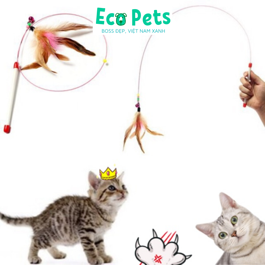 Đồ chơi cho mèo ECOPETS cần câu mèo bằng dây thép dẻo đồ chơi có chuông cho mèo giải trí màu sắc đáng yêu