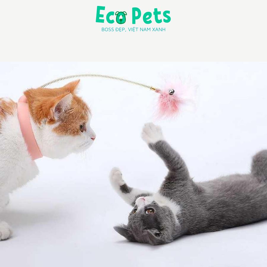 Đồ chơi cho mèo ECOPETS tương tác tự động giải trí giảm stress cho mèo cần câu mèo lông vũ kèm chuông
