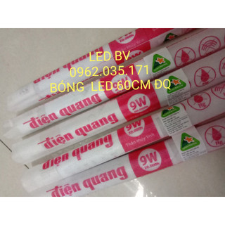 Điện Quang-Bóng và bộ đèn led T8 thủy tinh 1m2 điện quang