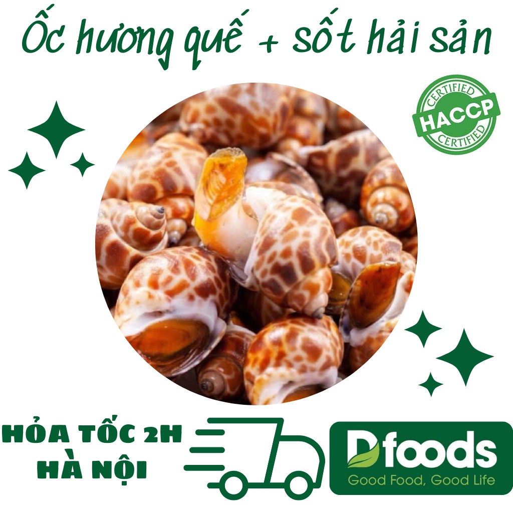 Ốc hương quế khay 500gr + sốt hải sản dặc biệt