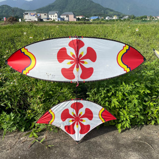 Áo diều và khung 1m6 tặng sáo đơn giá rẻ LIMITI DS11