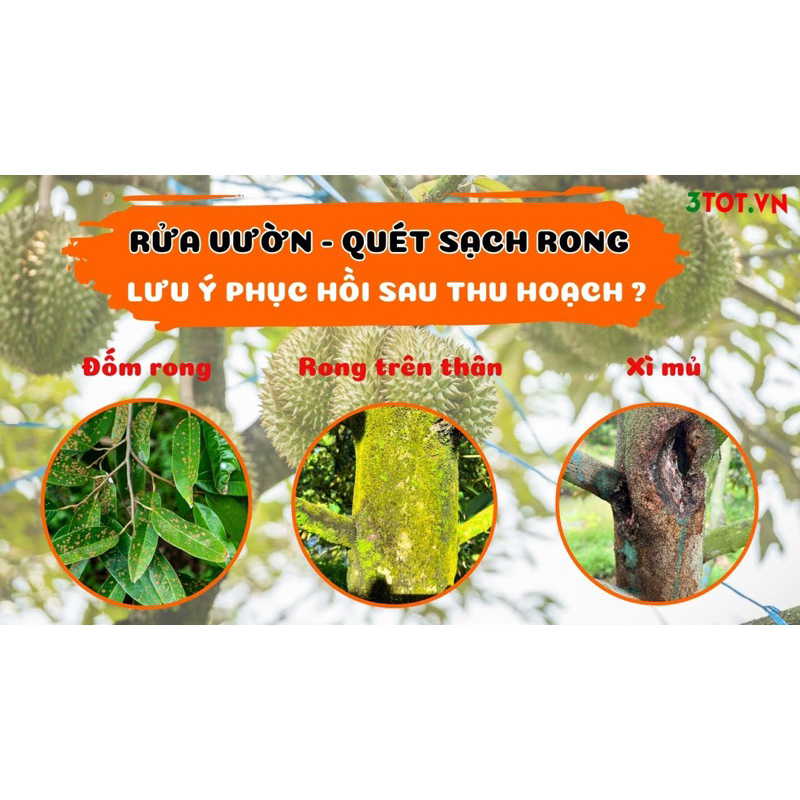 SUPER LIGHTNING ”QUÉT SẠCH RONG” 3 TỐT, PHA 300L, KHÔNG CHÁY LÁ PHÒNG TRỪ NẤM HỒNG, THỐI THÂN, XÌ MỦ HŨ 750GR