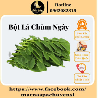 Bột lá chùm ngây nguyên chất 100%