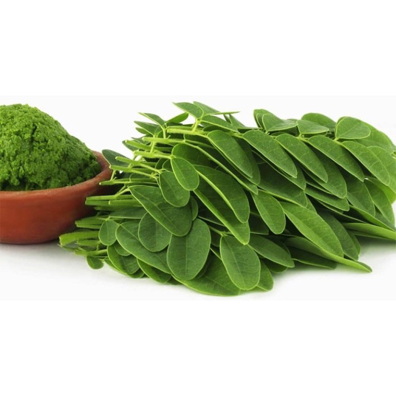 (Túi 500gr/1kg) Bột Lá Chùm Ngây Nguyên Chất 100%