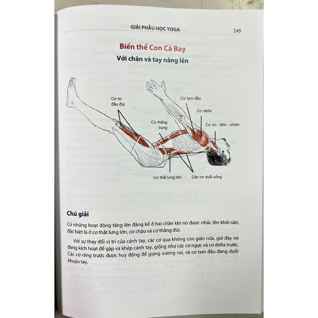 Sách - Giải phẫu học YOGA