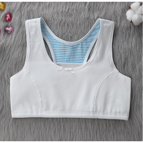 Áo lá học sinh cấp 1, cấp 2 - không mút, vải cotton - Danangsale