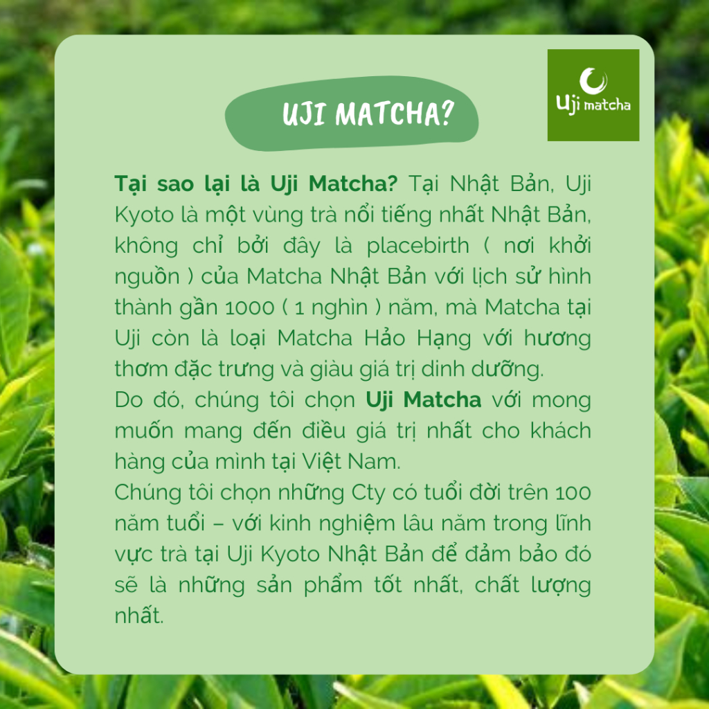 Trà xanh Matcha hương Nhài túi Zip 50g - Không đường, sữa