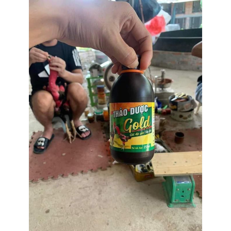 Thảo dược gold gà chọi gà nòi gà tre gà đá gà đòn