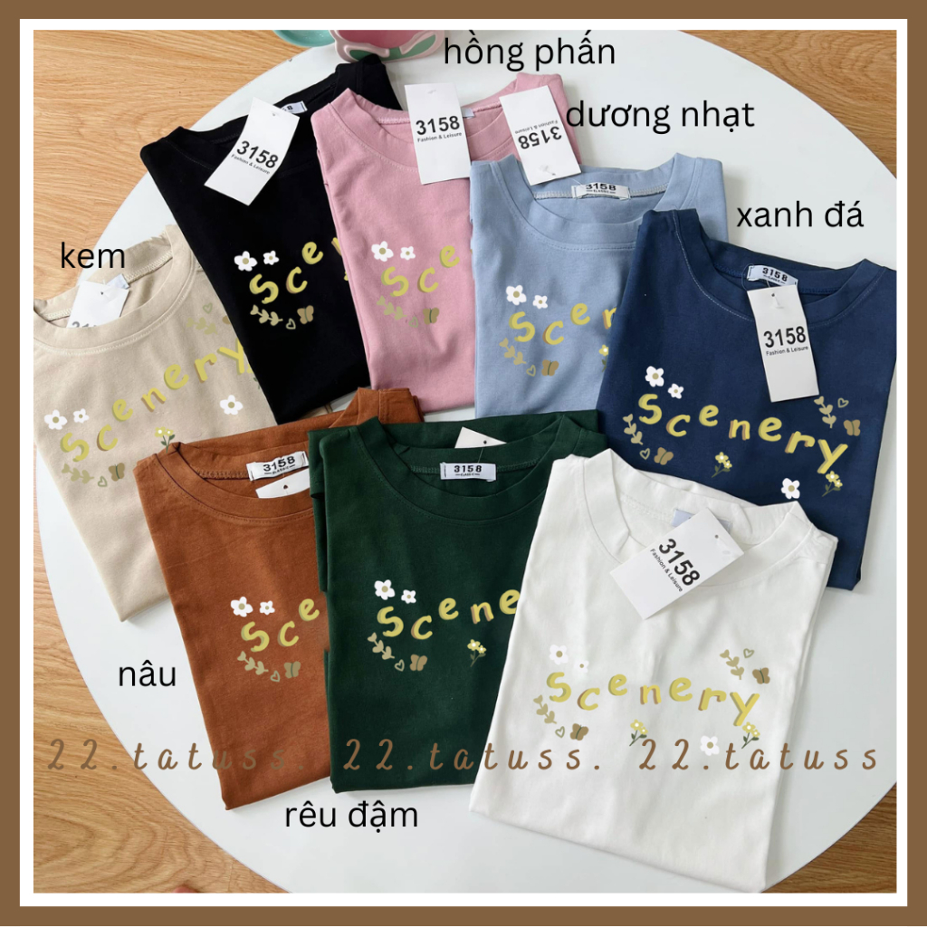 SCENERY - Áo áo phông Unisex nhiều màu hot áo form rộng tay lỡ FREESIZE