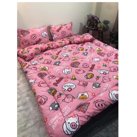 Set chăn phao 5 món bao gồm ( 1 chăn phao+1 ga giường+2 vỏ gối đầu+1 vỏ ôm) - đủ size - nhiều mẫu lựa chọn - [VỊT HỒNG]