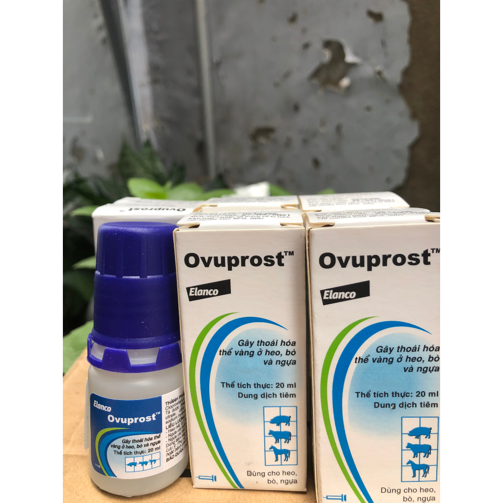 Ovuprost 20ml dùng cho heo bò ngựa