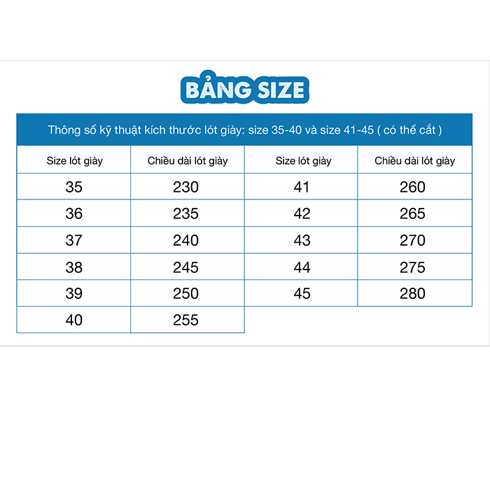 Cặp lót giày thể thao êm chân, hai lớp thấm hút mồ hôi, chống hôi chân HASA LGTT05