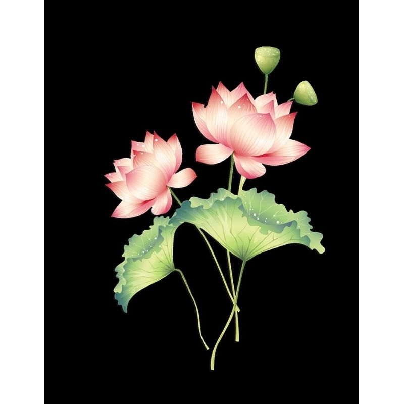 Hình ủi ép nhiệt, in áo. Mẫu Hoa sen HS2 in áo dài, váy, yếm cho mẹ và bé