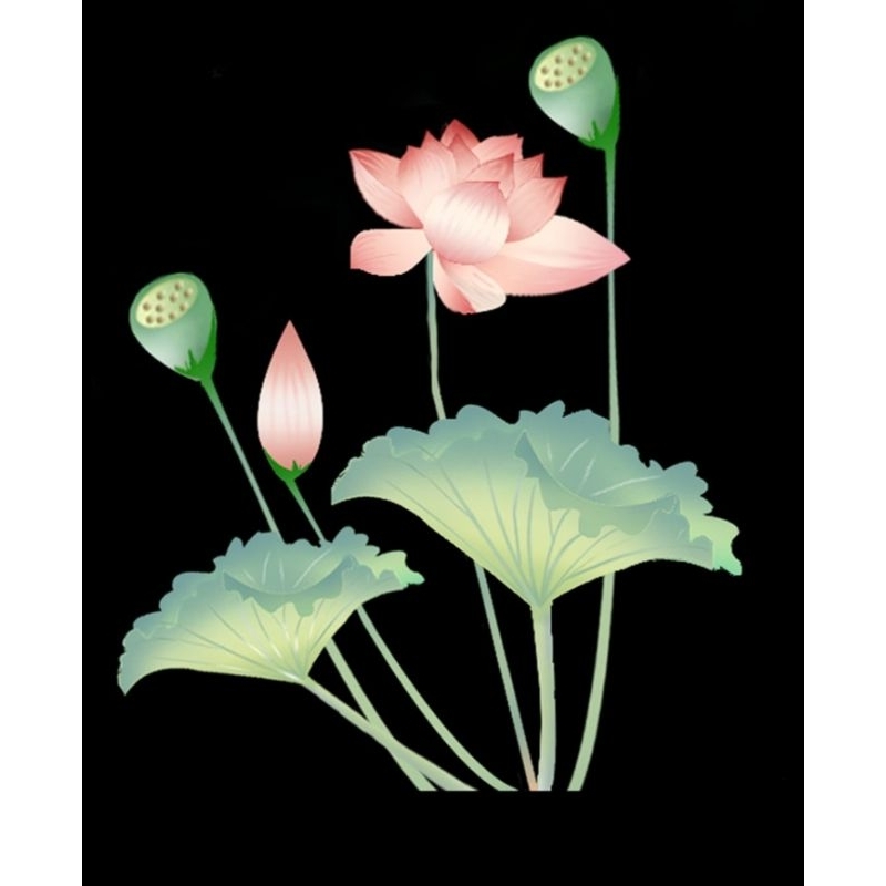 Hình ủi ép nhiệt, in áo. Mẫu Hoa sen HS2 in áo dài, váy, yếm cho mẹ và bé