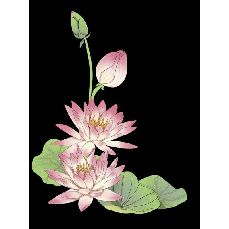 Hình ủi ép nhiệt, in áo. Mẫu Hoa sen HS2 in áo dài, váy, yếm cho mẹ và bé