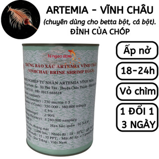 Trứng Artemia Vĩnh Châu  thức ăn cá bột betta, cá 7 màu - (Artemia ấp nở - Thức ăn cá bột) | Hingaostore.