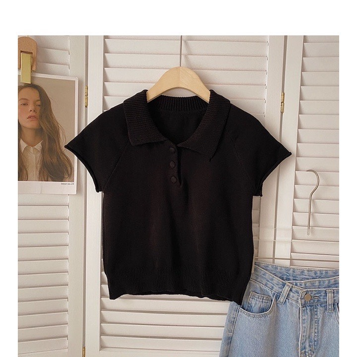 ÁO LEN POLO DỆT KIM KHUY BỌC