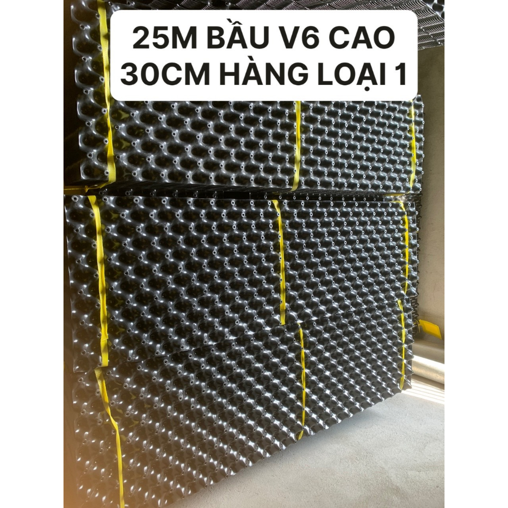 25M BẦU ƯƠM V6 CAO 30CM