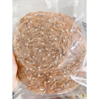 1kg bánh tráng cá cơm loại 1