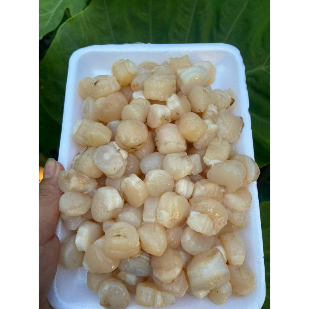 Còi Chôm Chôm Phú Quốc