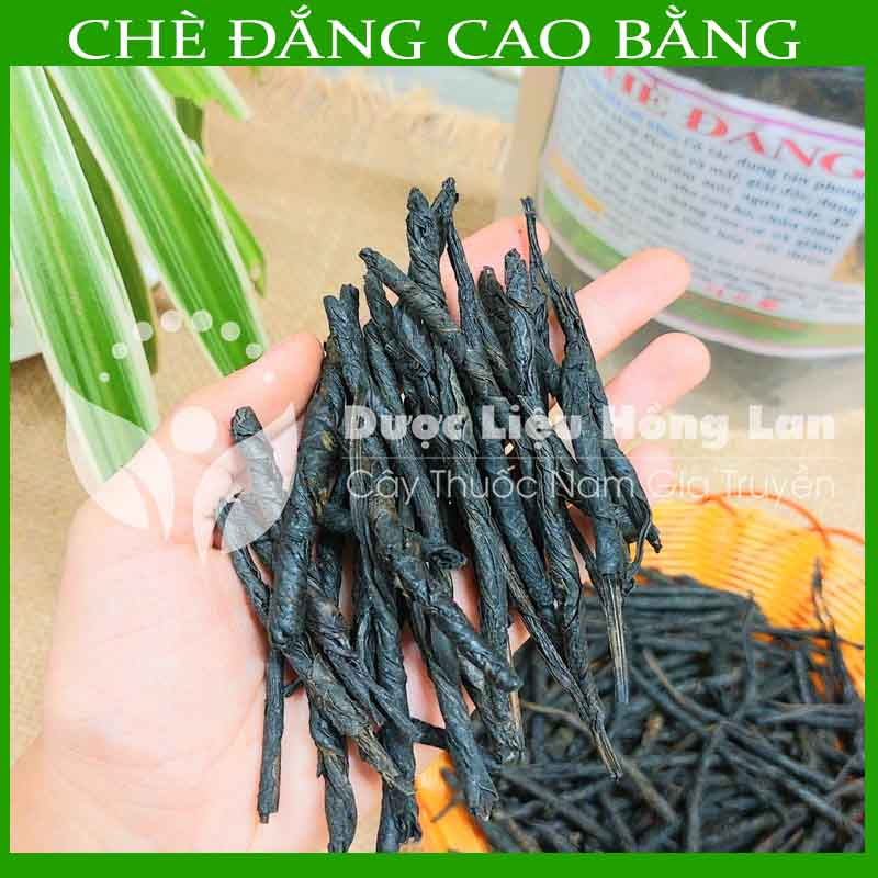 ✅ Chè  Đắng Cao Bằng loại 1 nguyên chất 100% - Hàng chính hãng Công Ty