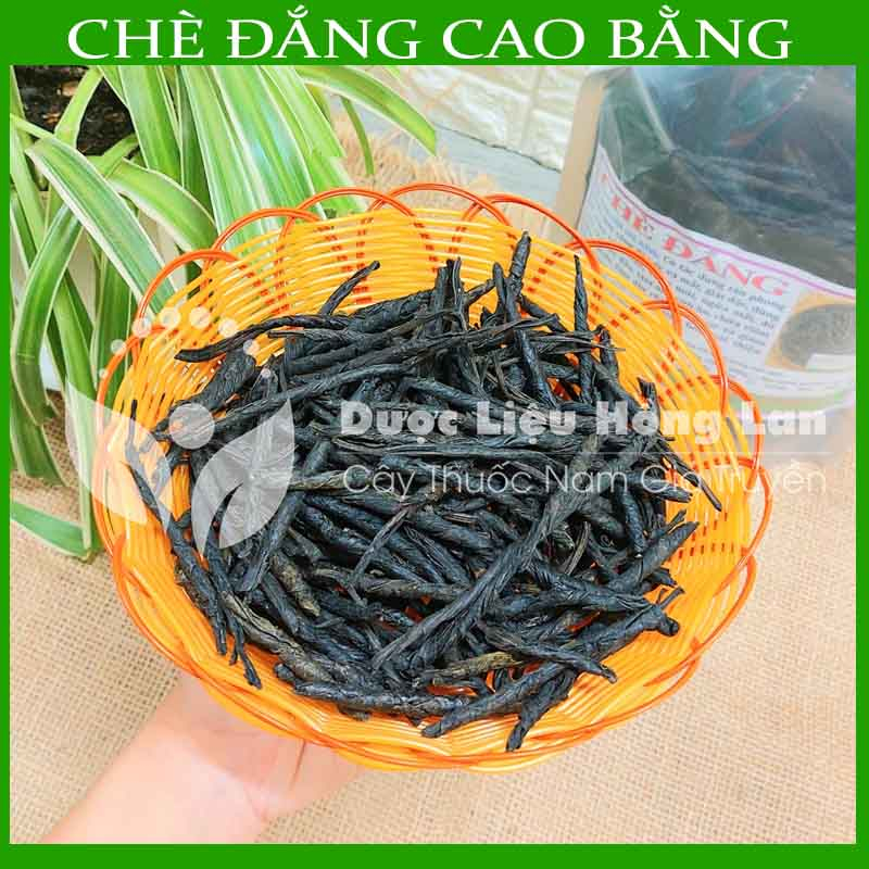 ✅ Chè  Đắng Cao Bằng loại 1 nguyên chất 100% - Hàng chính hãng Công Ty