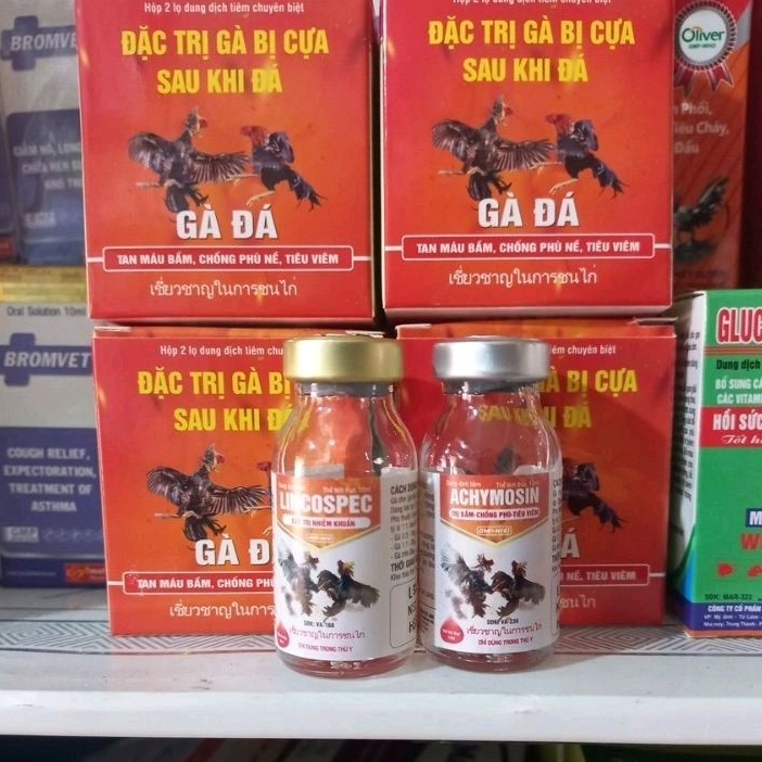Cặp 2 lọ gà bị cựa sau đá