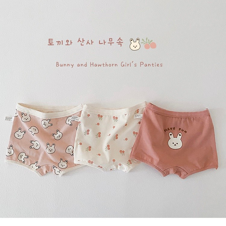Bộ 3 chip đùi / chéo cho bé gái hình gấu Brown đáng yêu cạp mềm chất cotton