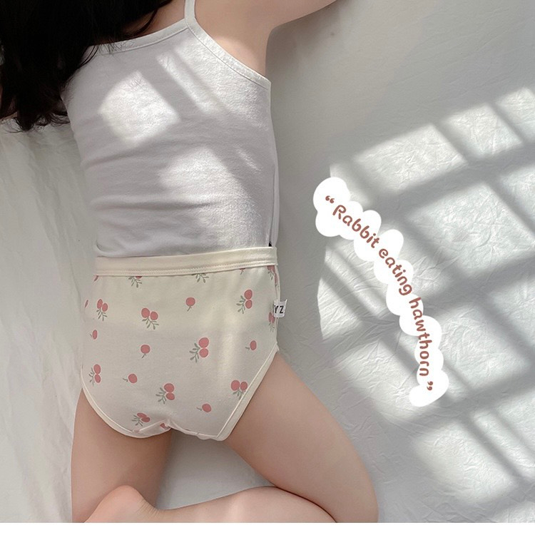 Bộ 3 chip đùi / chéo cho bé gái hình gấu Brown đáng yêu cạp mềm chất cotton