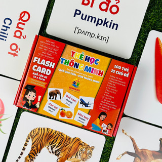 Bộ Thẻ Học Thông Minh Cho Bé Flashcard Khổ Lớn A5 Theo Phương Pháp Glenn Doman