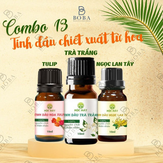 Combo 3 mùi tinh dầu, tạo hương thơm, khuếch tán mùi hương, làm sạch không khí - boba naturals