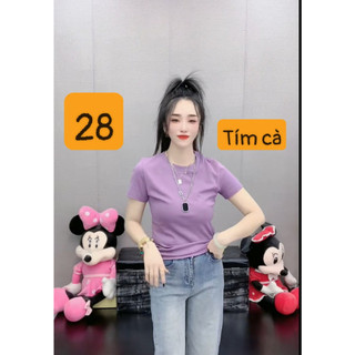Áo thun cổ tròn nữ cotton vải cotton basic đẹp phông tay ngắn in lưng
