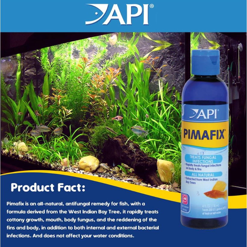 Dung dich chăm sóc cá cảnh Pimafix Mỹ API
