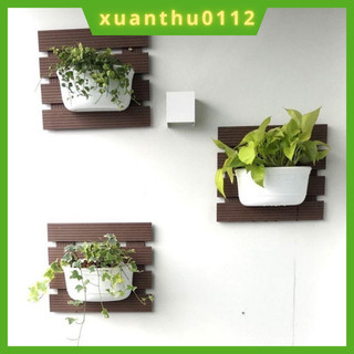Chậu ốp tường trồng hoa cây cảnh- chậu treo Tường bán nguyệt trồng hoa cây cảnh hàng dày cỡ lớn 28x14x16cm