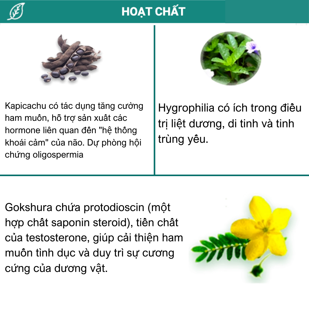 Himalaya Speman hộp 60v date 3/2026 cải thiện chứng năng sinh lý nam giới