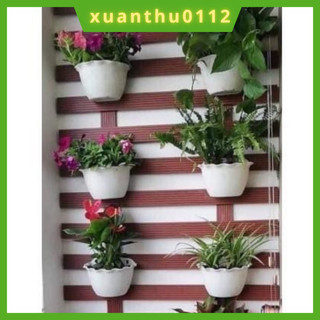 Chậu ốp tường trồng cây, hoa- Chậu treo tường trồng cây, chậu bán nguyệt ốp tường loại 1