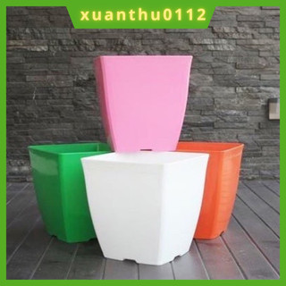 Chậu vuông trồng hoa V9 (10 chậu) cây cảnh văn phòng, chậu vuông V9 hàng loại 1 kích thước 9x9cm.