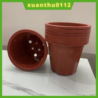 Chậu nhựa trồng ươm cây hoa E230- 10 cái màu nâu hàng loại 1 dày đẹp KT 19x15cm