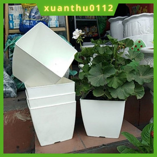 Chậu nhựa vuông V16 - 10 chậu, chậu trồng hoa cây cảnh văn phòng hàng loại 1 KT 16x16x16cm.