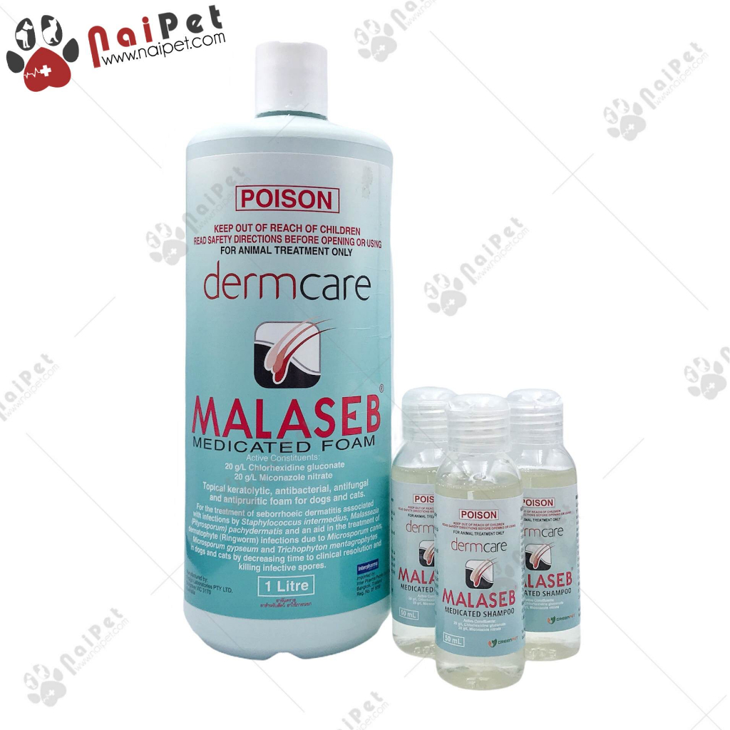 Sữa Tắm Ngăn Ngừa Nấm Viêm Da Dị Ứng Cho Chó Mèo DermCare Malaseb 100ml