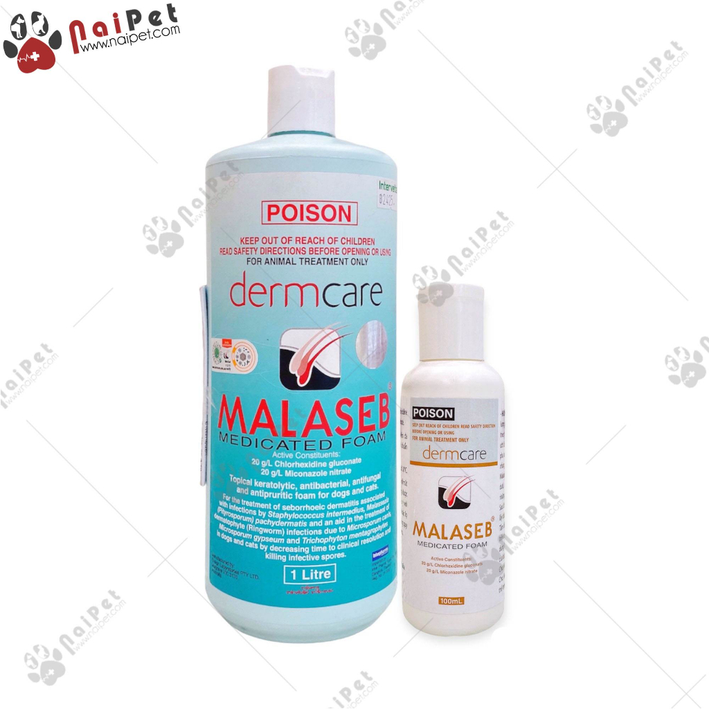 Sữa Tắm Ngăn Ngừa Nấm Viêm Da Dị Ứng Cho Chó Mèo DermCare Malaseb 100ml