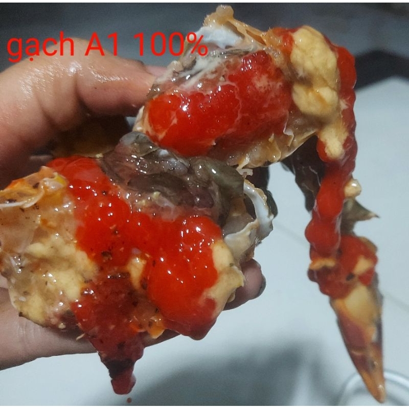 Cua Cà Mau freeship Hồ Chí Minh tươi sống (dây nhỏ)