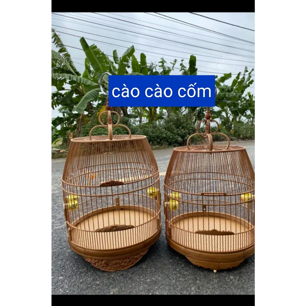 Khung lồng chum chòe tự ráp, dành cho chim chào mào, mi, chòe ,siêu dễ ráp, siêu đẹp. có video hướng dẫn