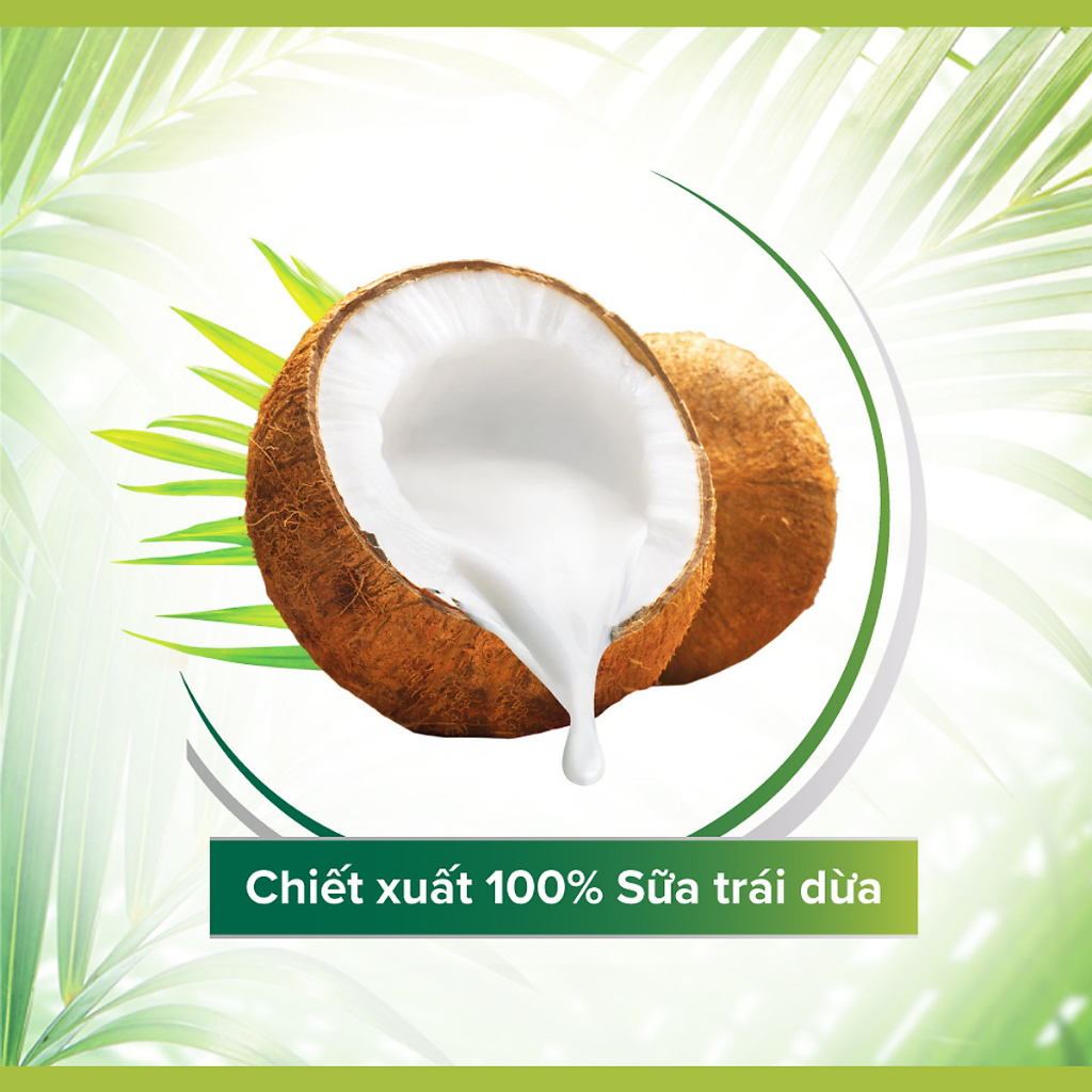 🎁 Dầu gội xả 2in1 Palmolive thiên nhiên