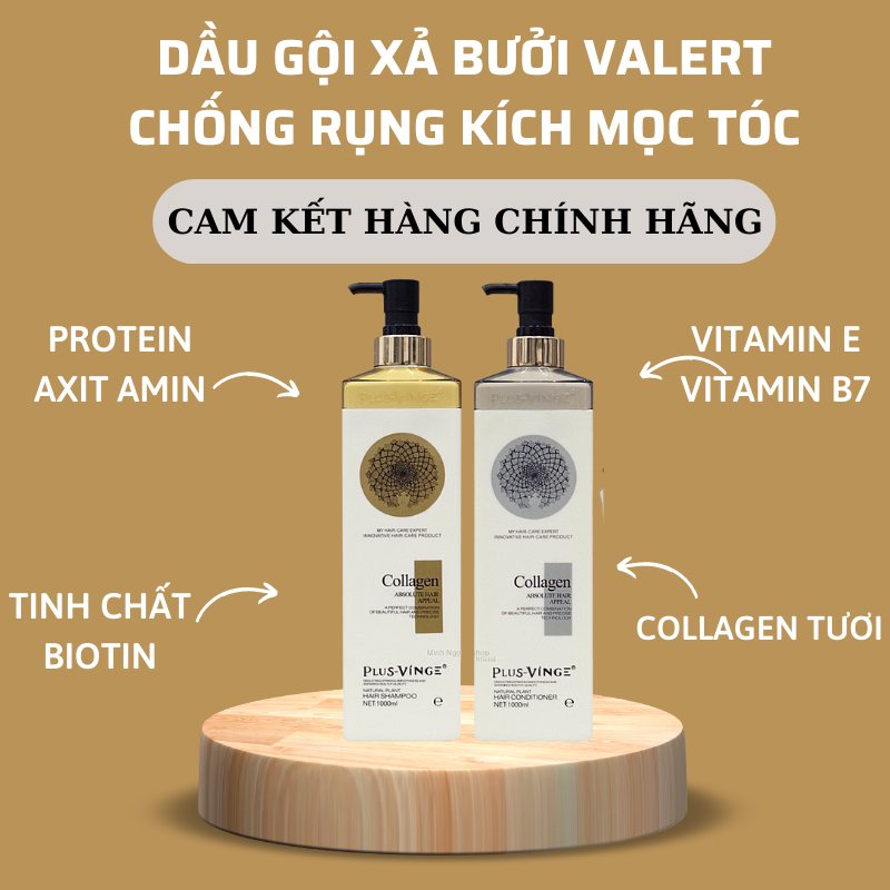 Cặp Dầu Gội Phục Hồi, Chống Rụng Kích Mọc Tóc Plus Vinge Collagen 1000ml * 2 | Centella.official